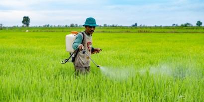 Detail Gambar Kartun Belajar Pekerja Perkebunan Nomer 40