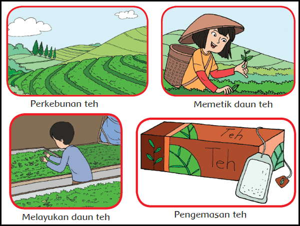 Detail Gambar Kartun Belajar Pekerja Perkebunan Nomer 9