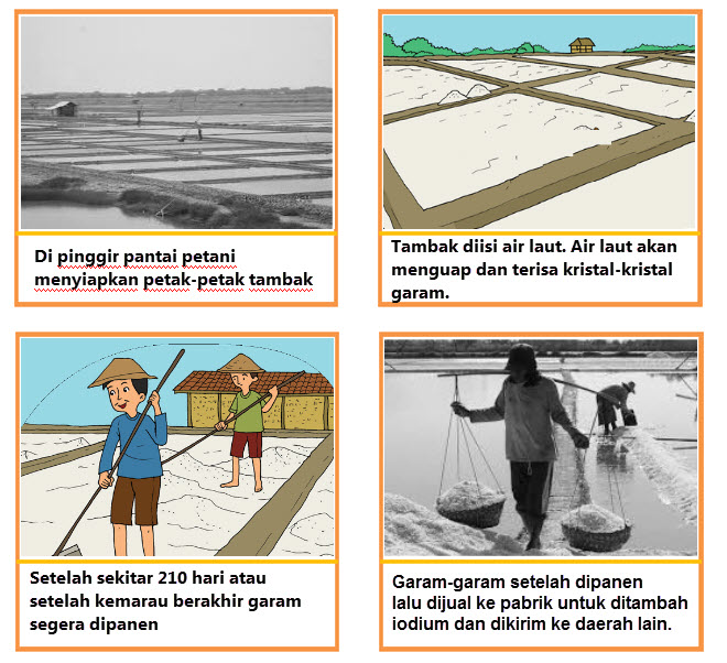 Detail Gambar Kartun Belajar Petani Tambak Nomer 12