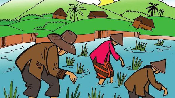 Detail Gambar Kartun Belajar Petani Tambak Nomer 14