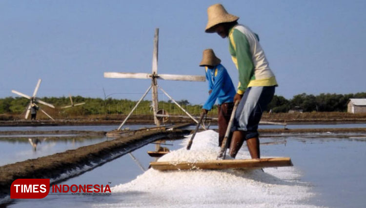 Detail Gambar Kartun Belajar Petani Tambak Nomer 21