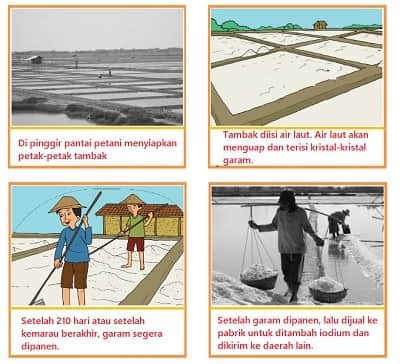 Detail Gambar Kartun Belajar Petani Tambak Nomer 9