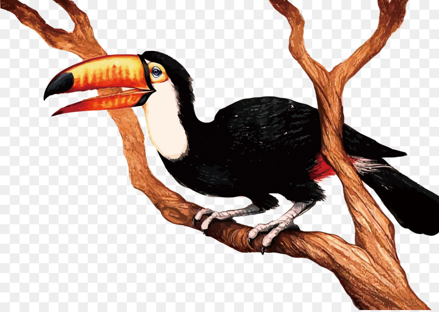 Detail Gambar Kartun Besar Gambar Kartun Burung Nomer 31