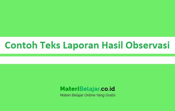 Detail Contoh Laporan Hasil Observasi Singkat Nomer 18