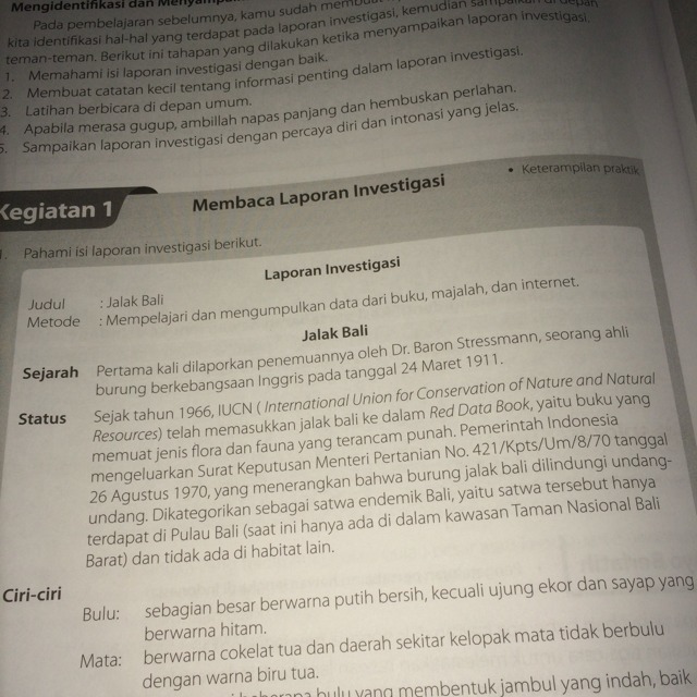 Detail Contoh Laporan Investigasi Nomer 17