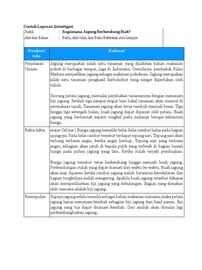 Detail Contoh Laporan Investigasi Nomer 7