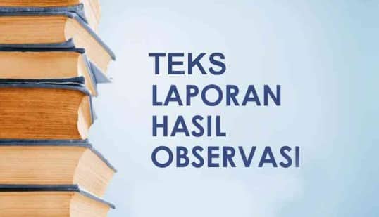 Detail Contoh Laporan Observasi Sekolah Dasar Nomer 48