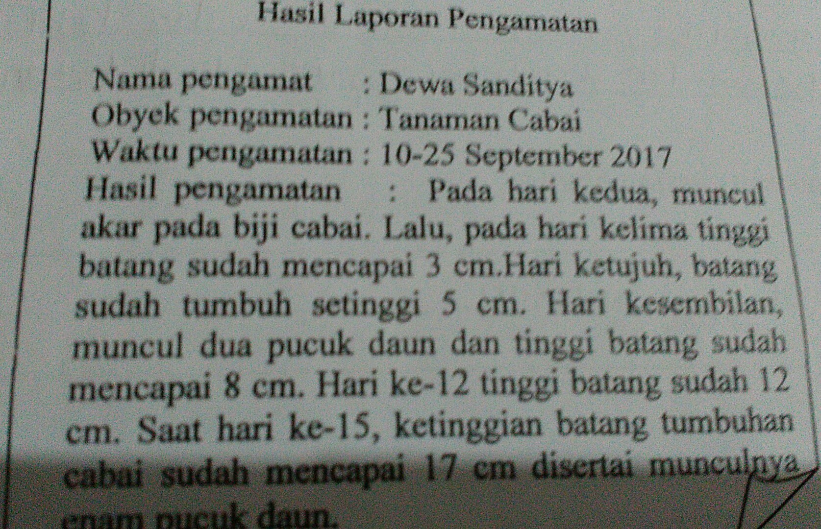 Detail Contoh Laporan Pengamatan Tumbuhan Nomer 46