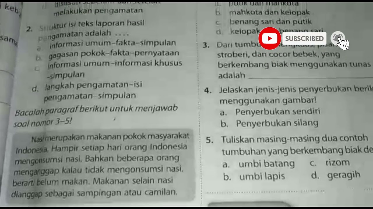 Detail Contoh Laporan Pengamatan Tumbuhan Nomer 54