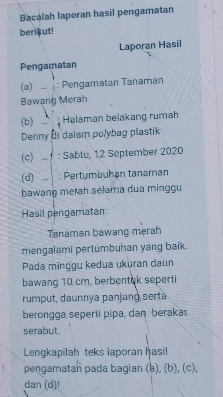 Detail Contoh Laporan Tanaman Bawang Merah Nomer 36