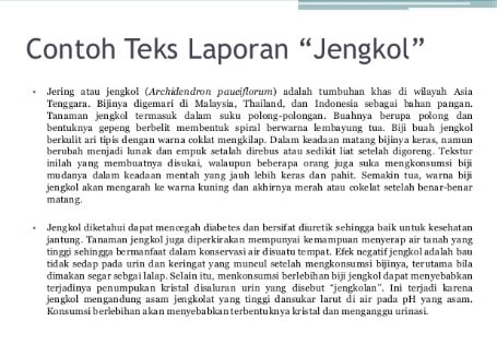 Contoh Laporan Teks - KibrisPDR