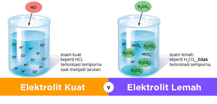 Detail Contoh Larutan Elektrolit Kuat Nomer 8