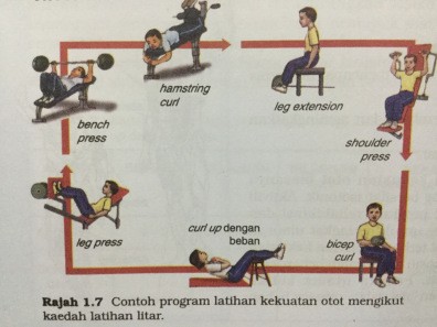 Detail Contoh Latihan Daya Tahan Otot Nomer 38