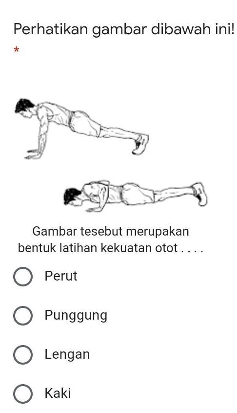 Detail Contoh Latihan Kekuatan Otot Lengan Nomer 44