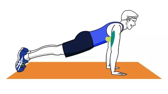 Detail Contoh Latihan Kekuatan Otot Lengan Nomer 45