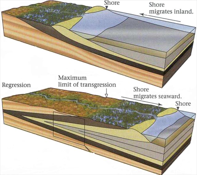 Detail Contoh Laut Regresi Nomer 11