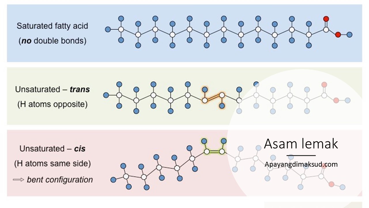 Detail Contoh Lemak Jenuh Dan Tak Jenuh Nomer 30