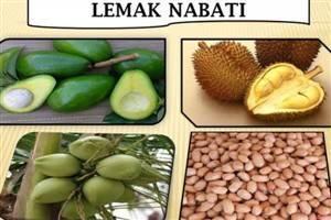 Detail Contoh Lemak Nabati Nomer 6