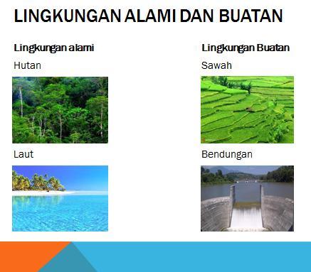 Contoh Lingkungan Alam Dan Buatan - KibrisPDR