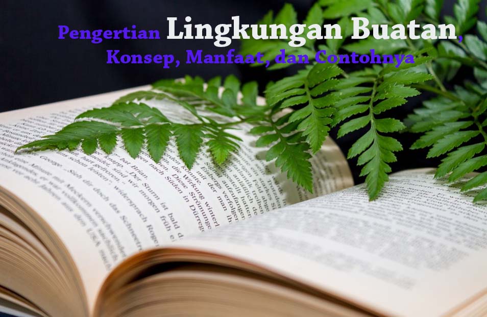 Detail Contoh Lingkungan Binaan Nomer 49