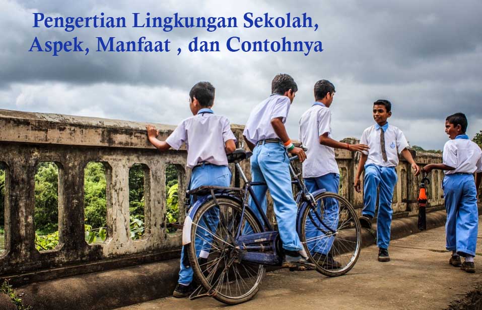 Detail Contoh Lingkungan Sekolah Nomer 40