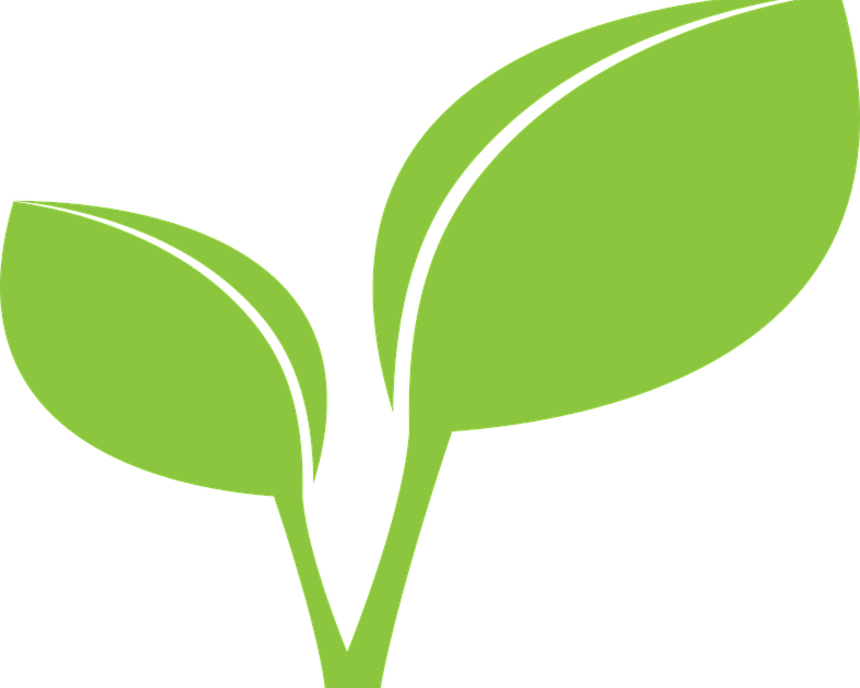 Detail Contoh Logo Daun Nomer 19