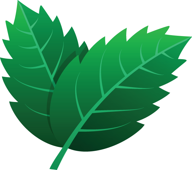 Detail Contoh Logo Daun Nomer 54