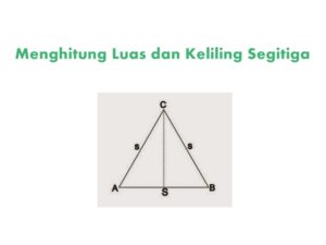Detail Contoh Luas Segitiga Nomer 48