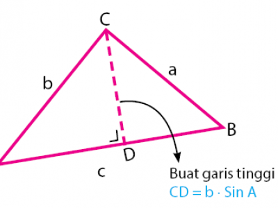 Detail Contoh Luas Segitiga Nomer 53