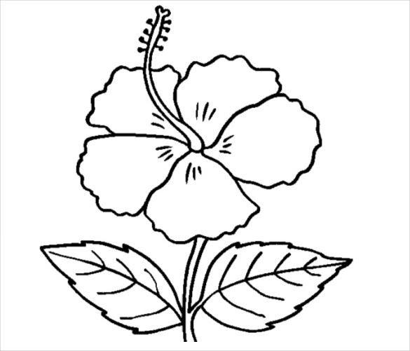 Detail Contoh Lukisan Bunga Raya Nomer 19