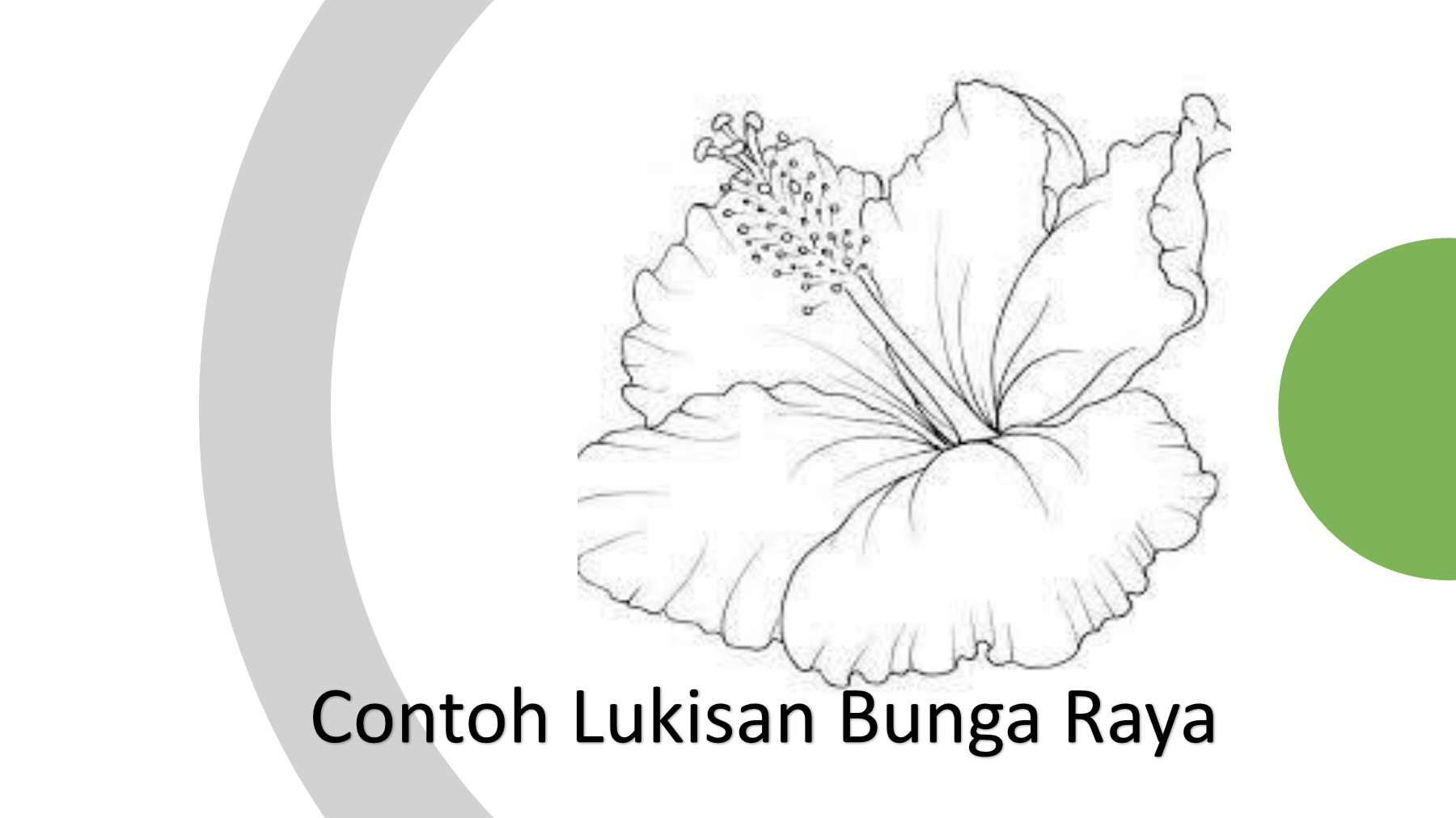 Detail Contoh Lukisan Bunga Raya Nomer 21