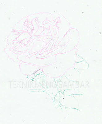 Detail Contoh Lukisan Pensil Bunga Mawar Nomer 57