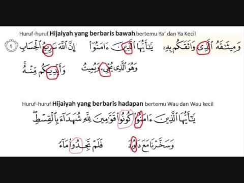 Detail Contoh Mad Asli Nomer 22