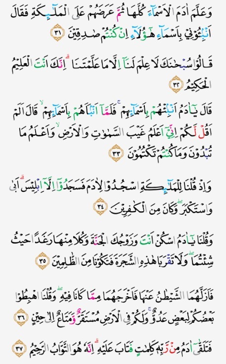 Detail Contoh Mad Badal Dalam Surah Al Baqarah Nomer 2