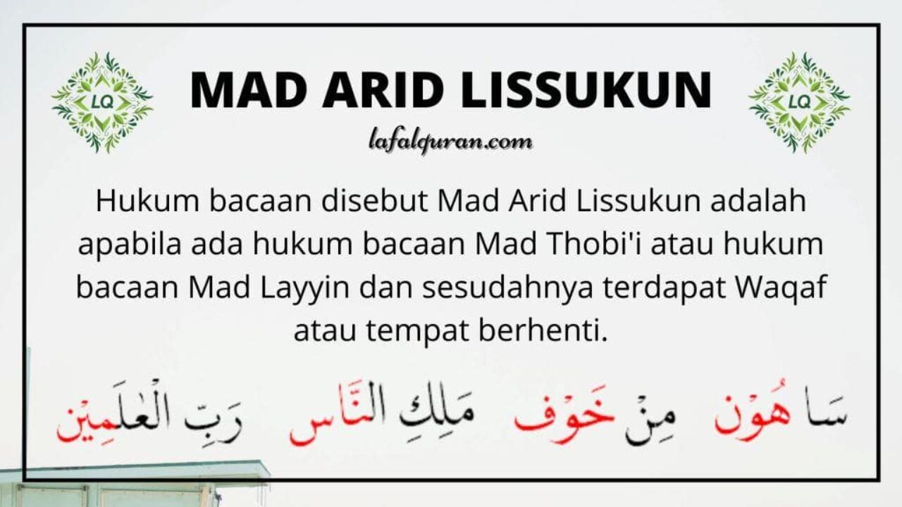 Detail Contoh Mad Lin Nomer 14