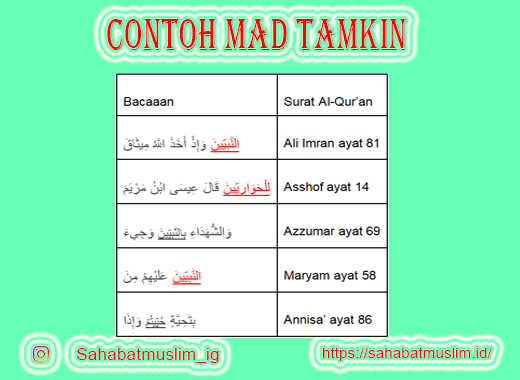 Detail Contoh Mad Lin Nomer 16