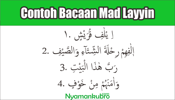 Detail Contoh Mad Lin Nomer 3