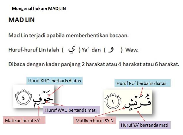 Detail Contoh Mad Lin Nomer 29