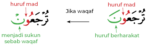 Detail Contoh Mad Lin Nomer 40