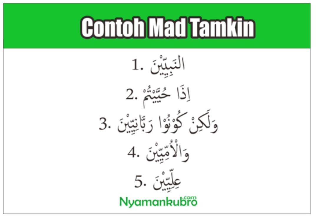 Detail Contoh Mad Lin Nomer 42