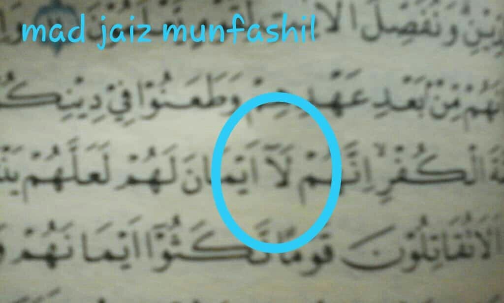 Detail Contoh Mad Wajib Muttasil Dalam Al Quran Nomer 51