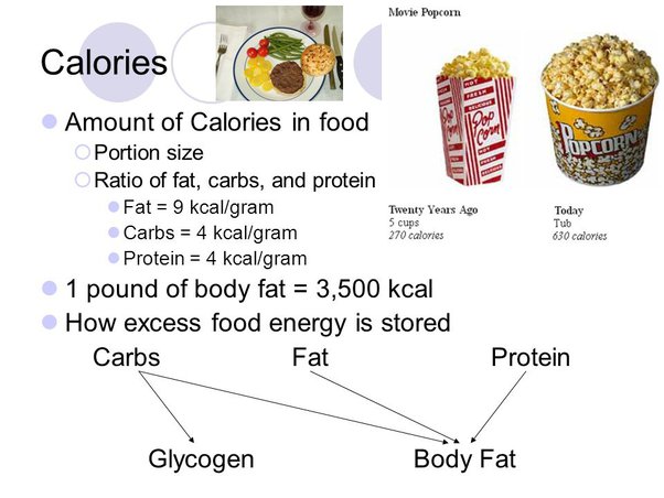 Detail Contoh Makanan 500 Kalori Nomer 30