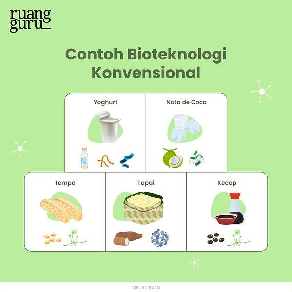 Detail Contoh Makanan Bioteknologi Nomer 18