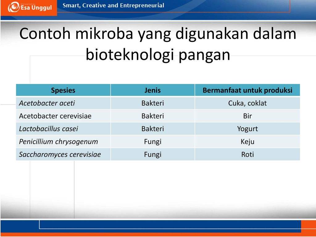 Detail Contoh Makanan Bioteknologi Nomer 54