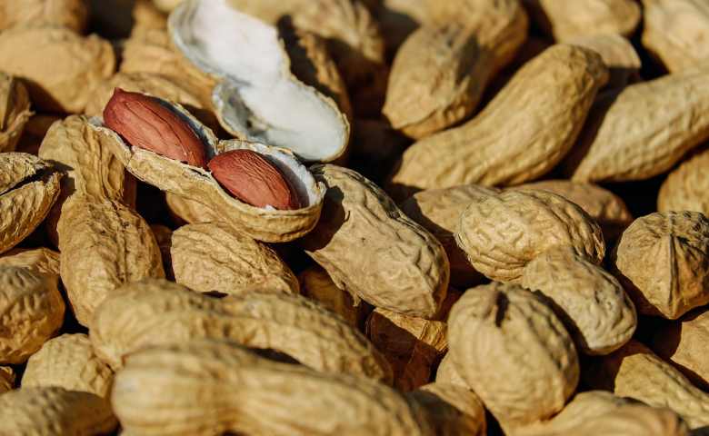 Detail Contoh Makanan Kacang Kacangan Nomer 31