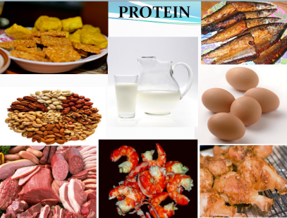 Detail Contoh Makanan Karbohidrat Dan Protein Nomer 23