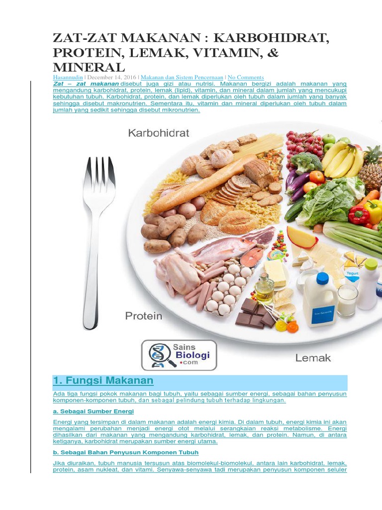 Detail Contoh Makanan Karbohidrat Dan Protein Nomer 36