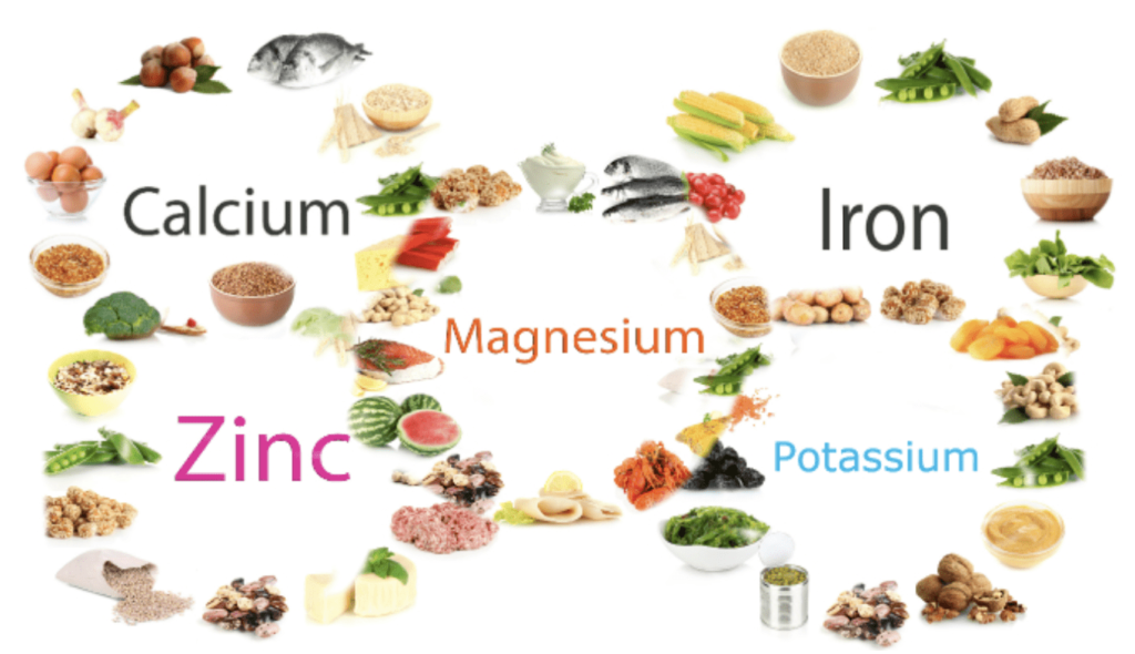 Detail Contoh Makanan Mineral Nomer 3