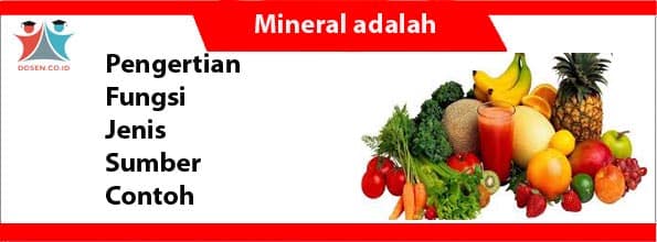 Detail Contoh Makanan Mineral Nomer 39