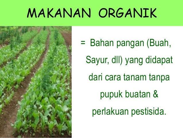 Detail Contoh Makanan Organik Nomer 41